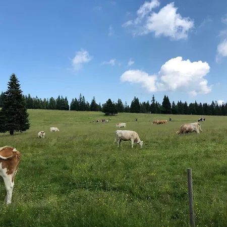 Apartma Rogla - Gaber 79 * Zreče