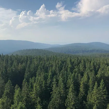 Apartma Rogla - Gaber 79 *