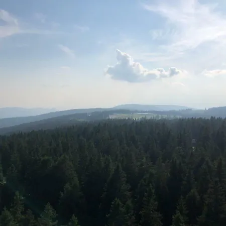 Apartma Rogla - Gaber 79