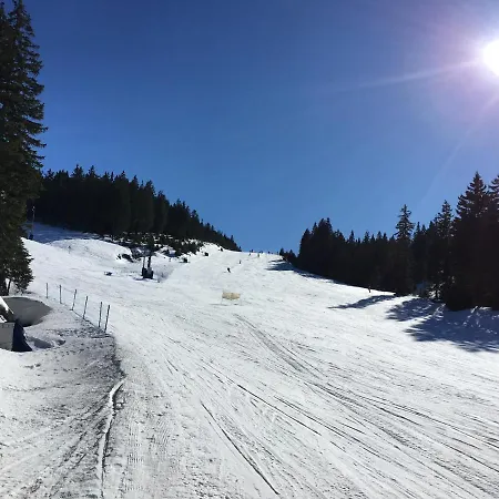 Apartma Rogla - Gaber 79 *